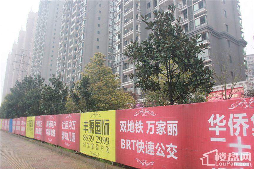 丰源最新科技，重塑生活，体验未来之光